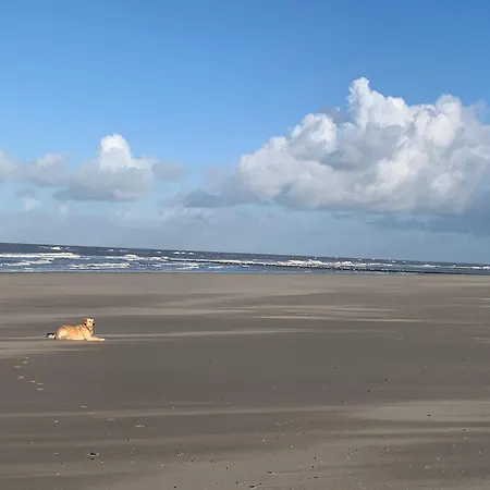 Neues Nr73 Zweite Reihe Direkt Am Wattenmeer, Komplett Eingezaeunt *