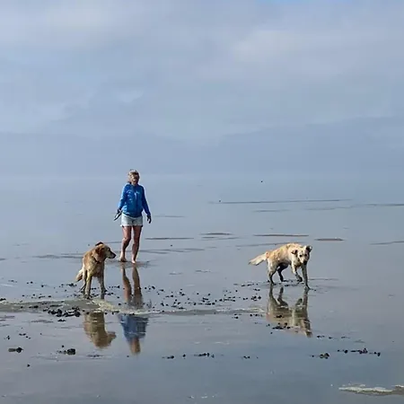 Дом отдыха Neues Nr73 Zweite Reihe Direkt Am Wattenmeer, Komplett Eingezaeunt