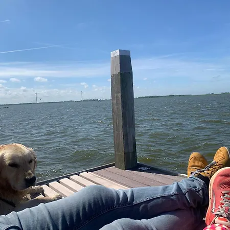 Neues Nr73 Zweite Reihe Direkt Am Wattenmeer, Komplett Eingezaeunt