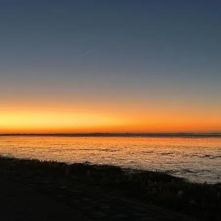 Neues Nr73 Zweite Reihe Direkt Am Wattenmeer, Komplett Eingezaeunt Feriehus *