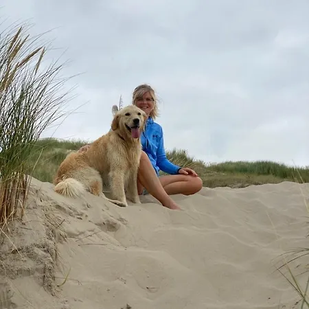 Holiday home Neues Nr73 Zweite Reihe Direkt Am Wattenmeer, Komplett Eingezaeunt Westerland
