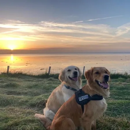 Neues Nr73 Zweite Reihe Direkt Am Wattenmeer, Komplett Eingezaeunt Feriehus