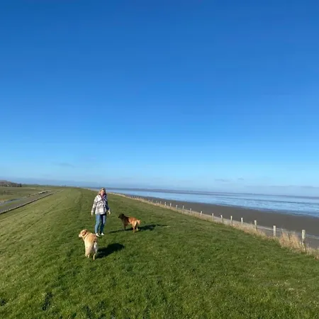 Neues Nr73 Zweite Reihe Direkt Am Wattenmeer, Komplett Eingezaeunt Feriehus