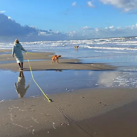 Neues Nr73 Zweite Reihe Direkt Am Wattenmeer, Komplett Eingezaeunt Feriehus Westerland