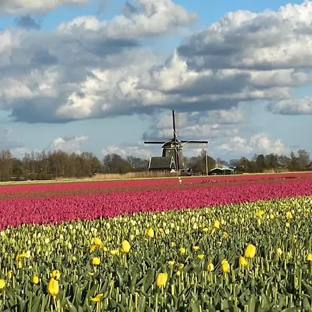Neues Nr73 Zweite Reihe Direkt Am Wattenmeer, Komplett Eingezaeunt Feriehus Westerland